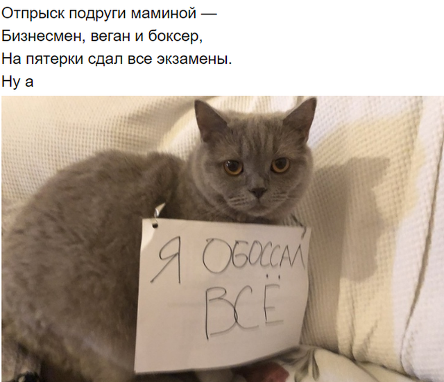 Подборка забавной поэзии с просторов Сети (19 фото)