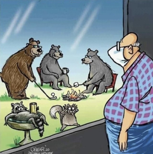 Карантинный юмор: лучшие шутки в Сети (15 фото)