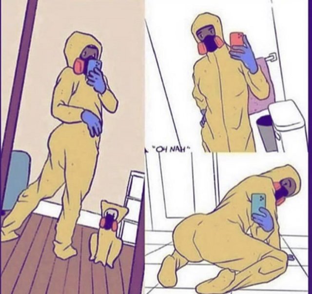 Удаленка, странные случаи и карантин: о чем шутят в Сети (14 фото)