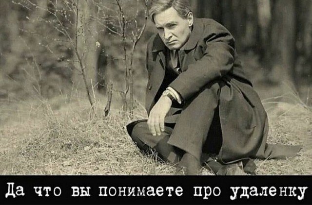 Удаленка, странные случаи и карантин: о чем шутят в Сети (14 фото)