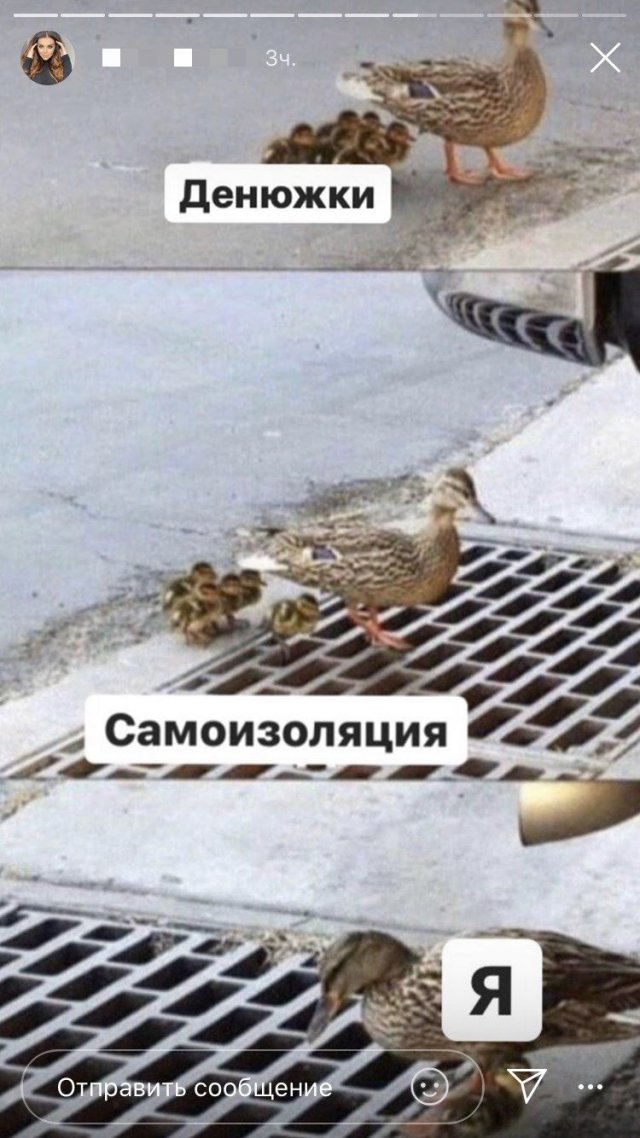 Карантинный юмор: лучшие шутки в Сети (15 фото)