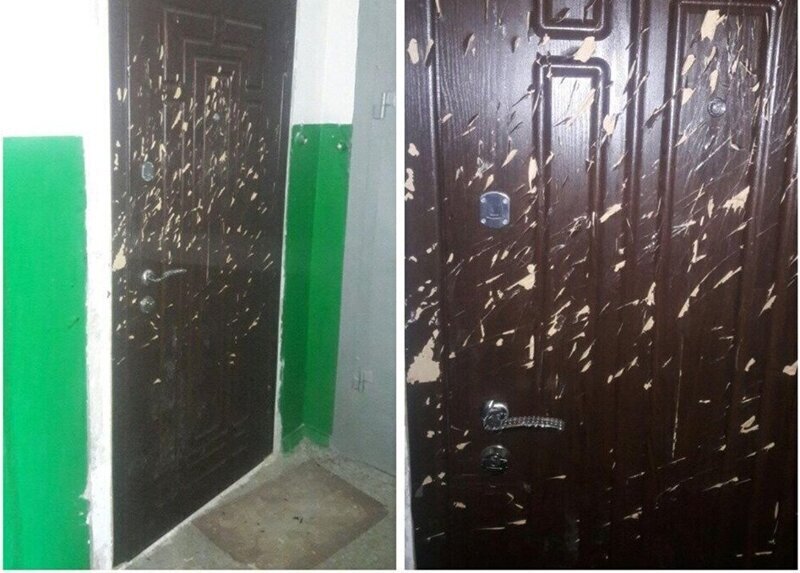 Когда реально не повезло с соседом: война жильцов (17 фото)