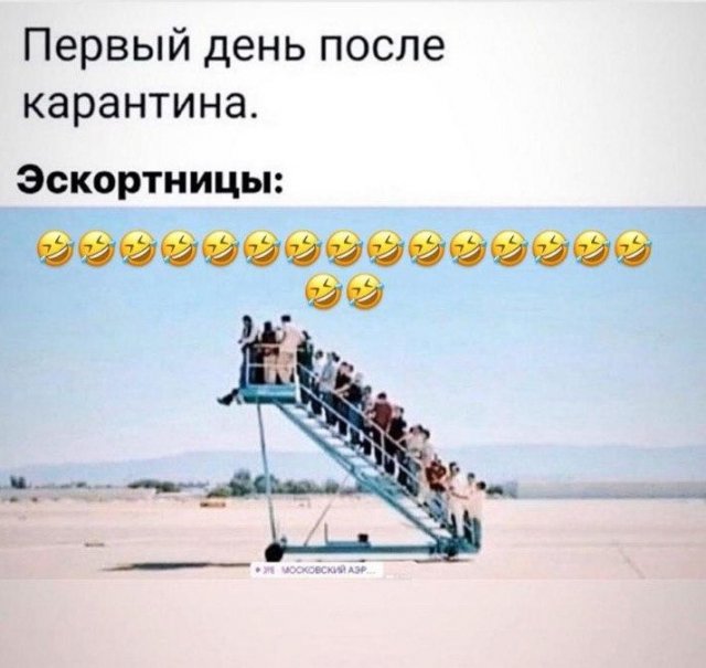 Удаленка, 5G и карантин: о чем шутят в Сети (15 фото)