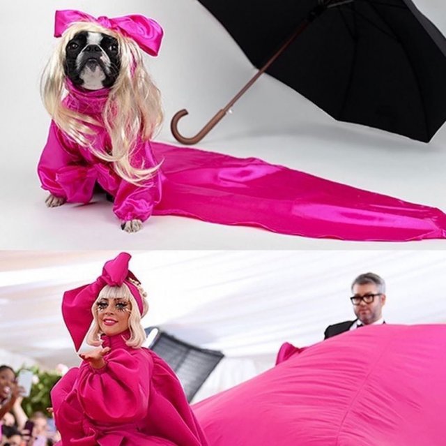 Новый челлендж – скопируй наряд звезд (19 фото + видео)