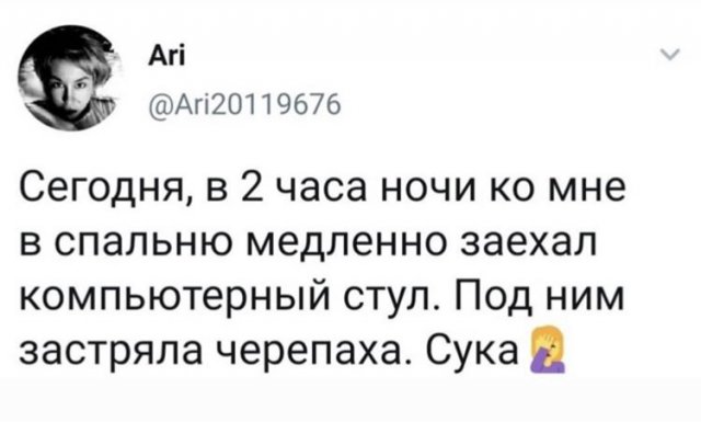 Удаленка, странные случаи и карантин: о чем шутят в Сети (14 фото)
