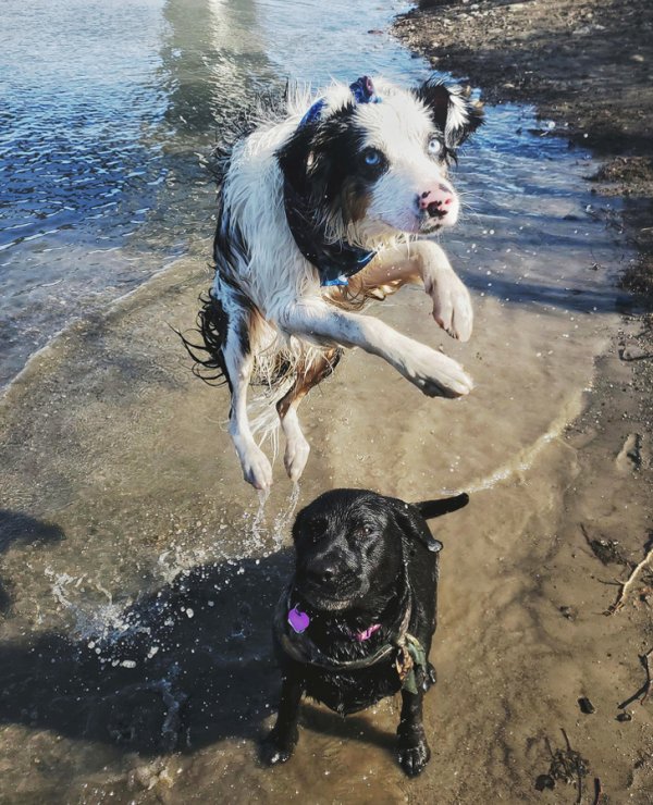 Подборка везунчиков, которые словили удачу за хвост (16 фото) Подборка везунчиков, которые словили удачу за хвост (16 фото)