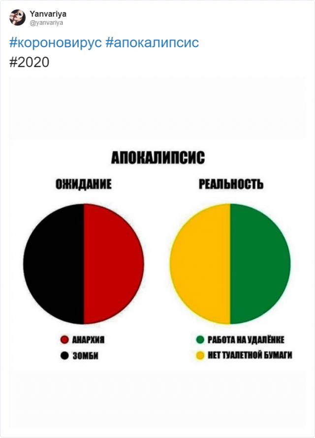 Коронавирус, самоизоляция и работа: как реагируют на карантин в Сети (14 фото)