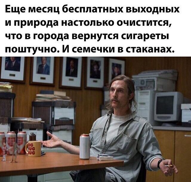 Немного о том, что будет после карантина (15 фото)