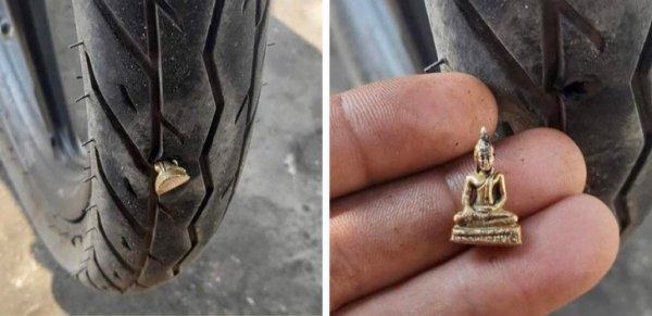 Подборка везунчиков, которые словили удачу за хвост (16 фото) Подборка везунчиков, которые словили удачу за хвост (16 фото)