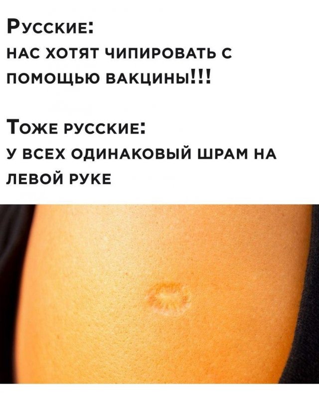 Удаленка, 5G и карантин: о чем шутят в Сети (15 фото)