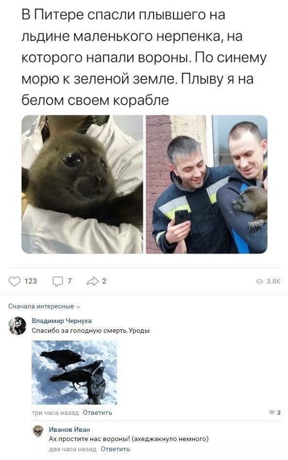 Смешные комментарии к постам в социальных сетях (15 фото)