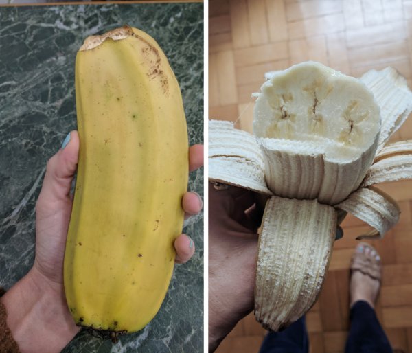 Подборка везунчиков, которые словили удачу за хвост (16 фото) Подборка везунчиков, которые словили удачу за хвост (16 фото)