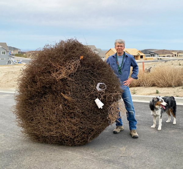 Подборка везунчиков, которые словили удачу за хвост (16 фото) Подборка везунчиков, которые словили удачу за хвост (16 фото)