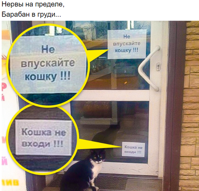 Подборка забавной поэзии с просторов Сети (19 фото)