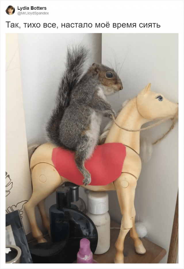 Странные и уродливые вещи, которые пользователи нашли у себя дома (18 фото)