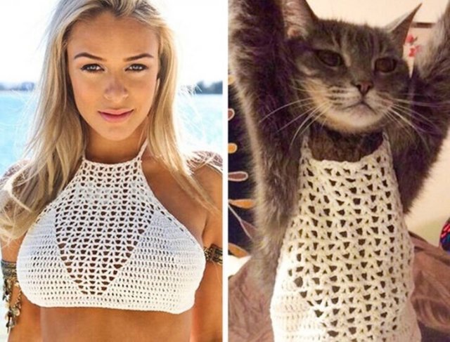 Фейлы с покупками онлайн (15 фото)