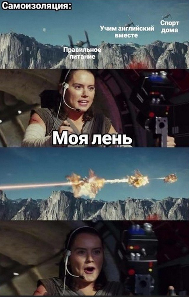 Майские праздники, карантин и коронавирус: о чем шутят в Сети (18 фото)