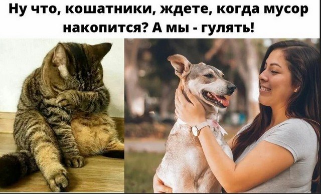 Майские праздники, карантин и коронавирус: о чем шутят в Сети (18 фото)