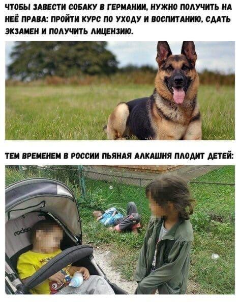 Шутки и мемы про "яжматерей" и детей (15 фото)