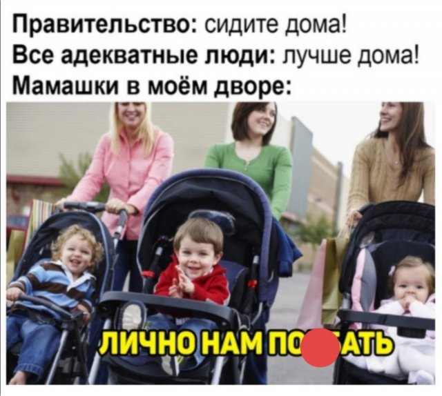 Шутки и мемы про современных девушек (15 фото)