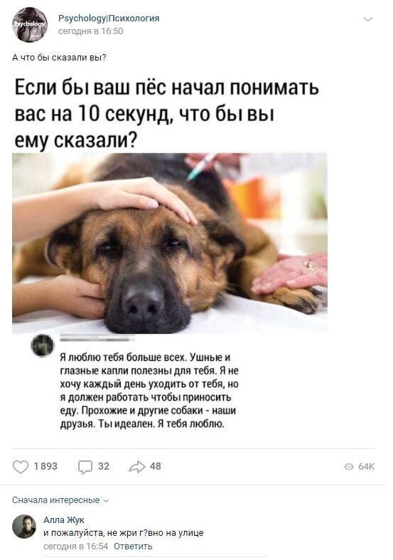 Комментарии к постам в разных группах (58 фото)