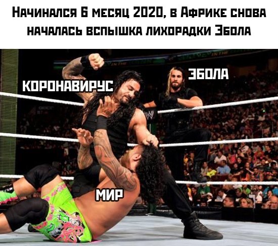 Работа на удаленке, всадники апокалипсиса и коронавирус: какие мемы популярны в Сети (14 фото)