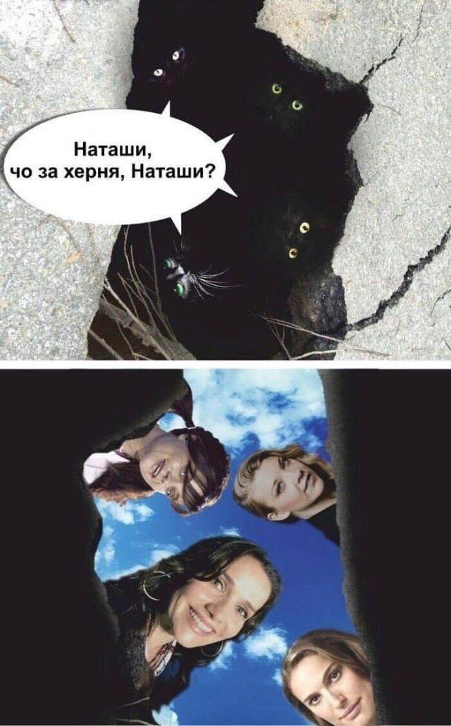 Очень черный юмор (20 фото)