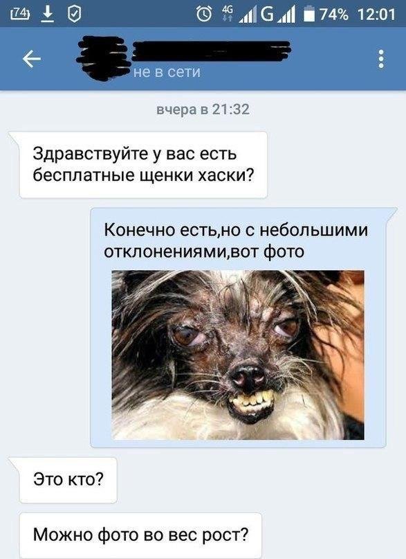 Шутки про "яжматерей" (15 фото)