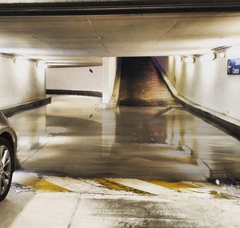 Фотографии, на которые придется взглянуть дважды (39 фото)