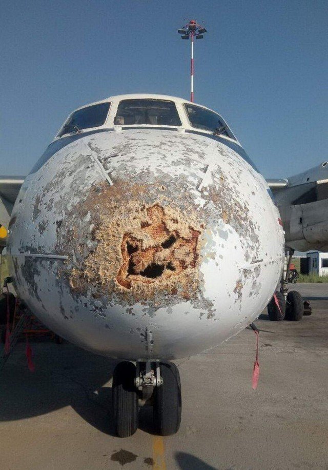 Жизненные неприятности, которые могут приключиться с каждым (20 фото)