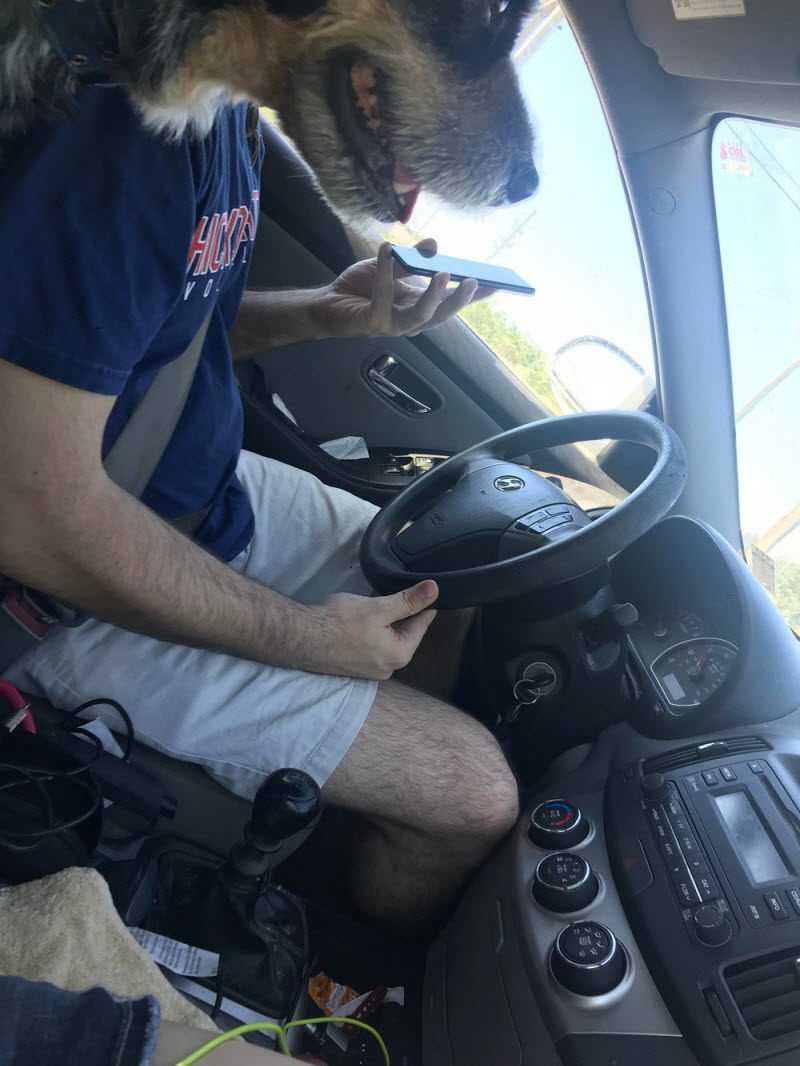 Фотографии, на которые придется взглянуть дважды (39 фото)