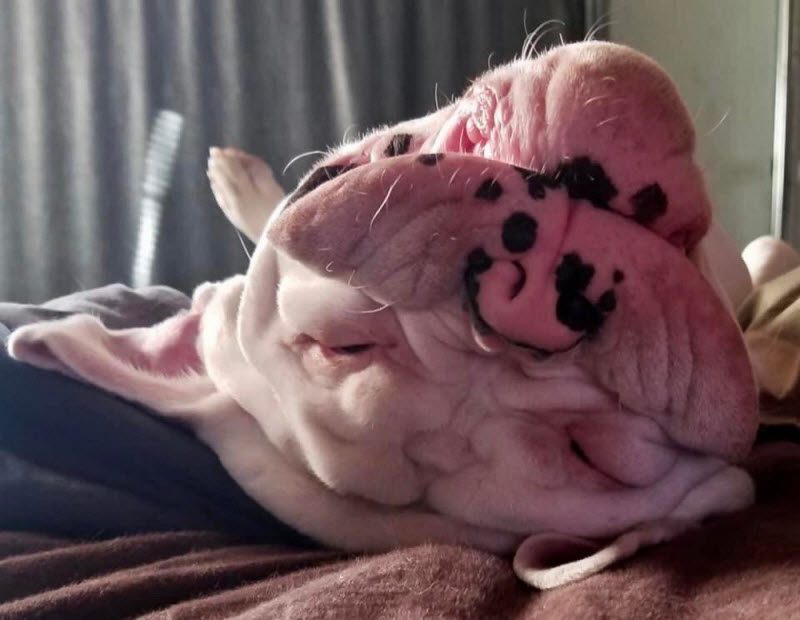 Фотографии, на которые придется взглянуть дважды (39 фото)