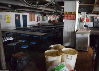 Страх и отвращение в общежитии рабочих фабрики, где собирают iPhone (20 фото)