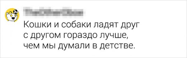 Подборка странных мыслей, которые мешают нам спать (18 фото)