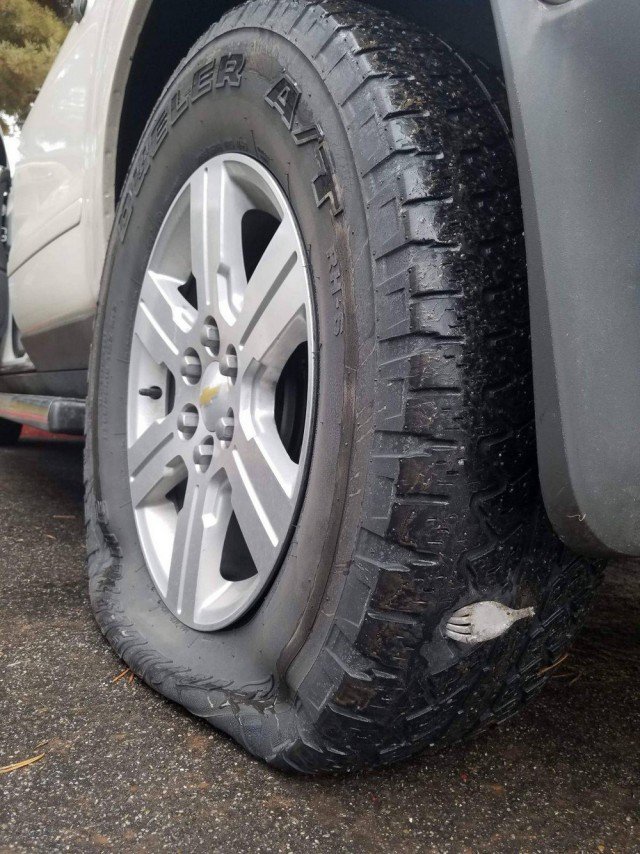 Жизненные неприятности, которые могут приключиться с каждым (20 фото)