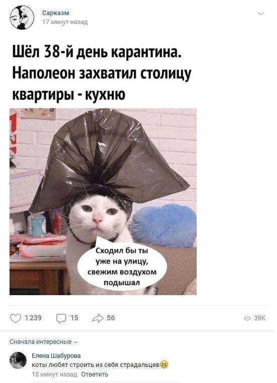 Комментарии к постам в разных группах (58 фото)