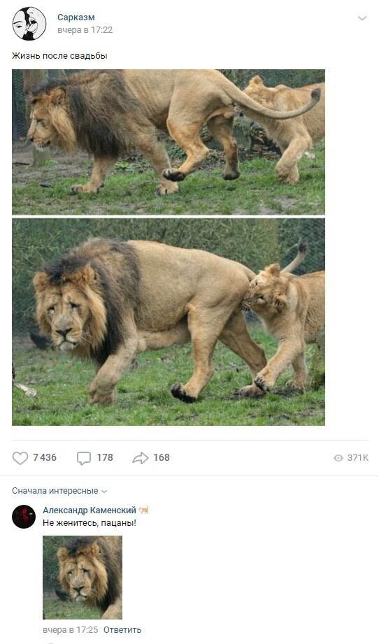 Комментарии к постам в разных группах (58 фото)