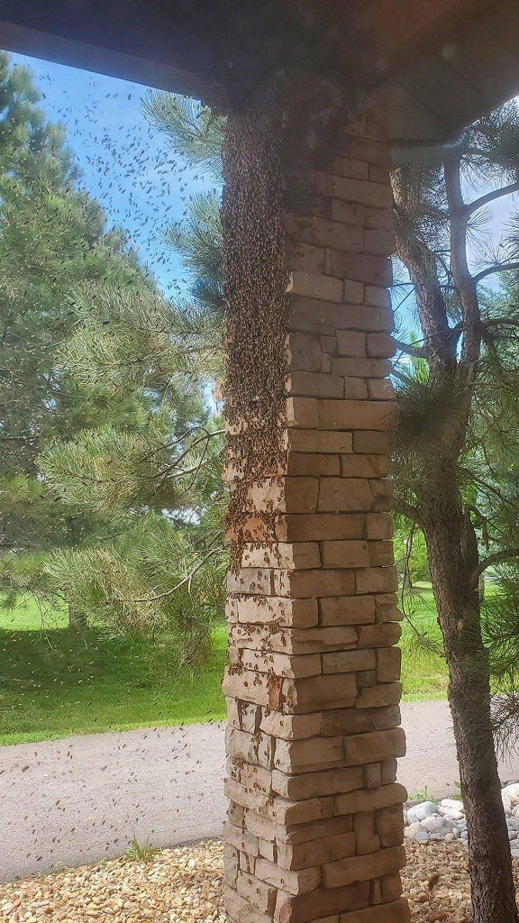 Жизненные неприятности, которые могут приключиться с каждым (20 фото)