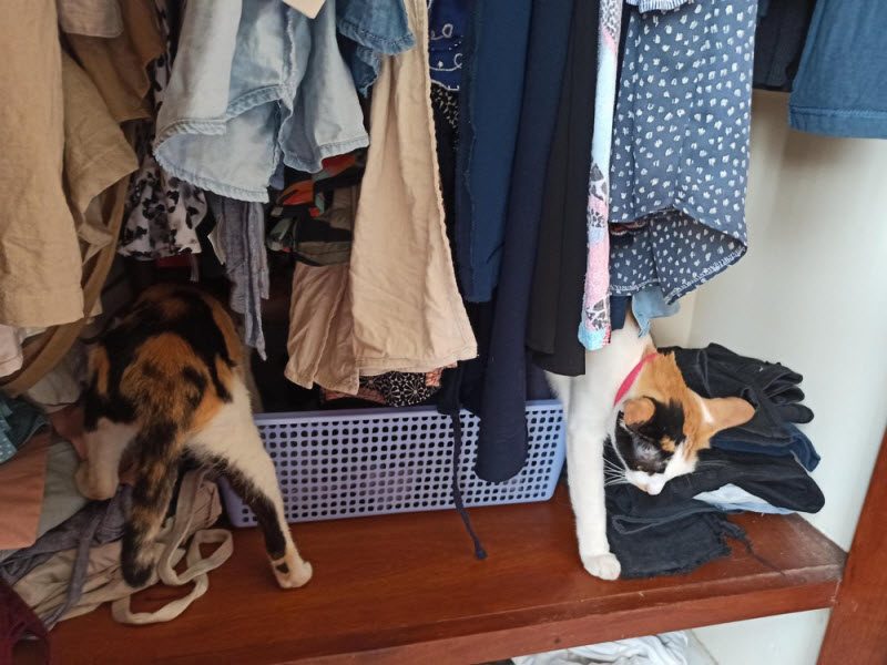 Фотографии, на которые придется взглянуть дважды (39 фото)