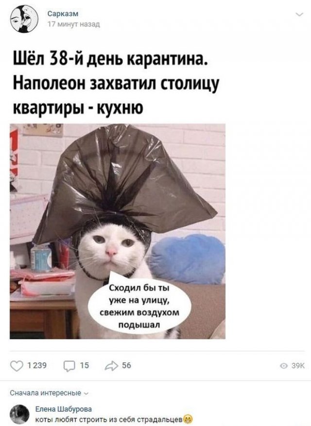 Смешные комментарии к постам в социальных сетях (15 фото)