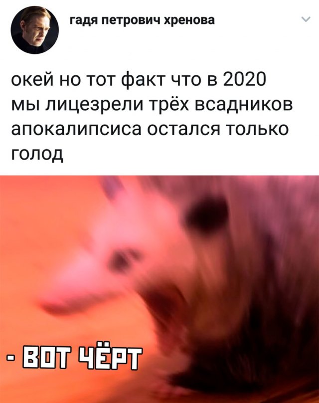 Работа на удаленке, всадники апокалипсиса и коронавирус: какие мемы популярны в Сети (14 фото)
