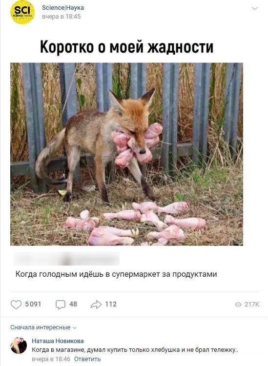 Комментарии к постам в разных группах (58 фото)