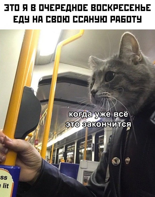 Коронавирус, США и завершение самоизоляции: о чем шутят в Сети (15 фото)