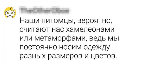 Подборка странных мыслей, которые мешают нам спать (18 фото)