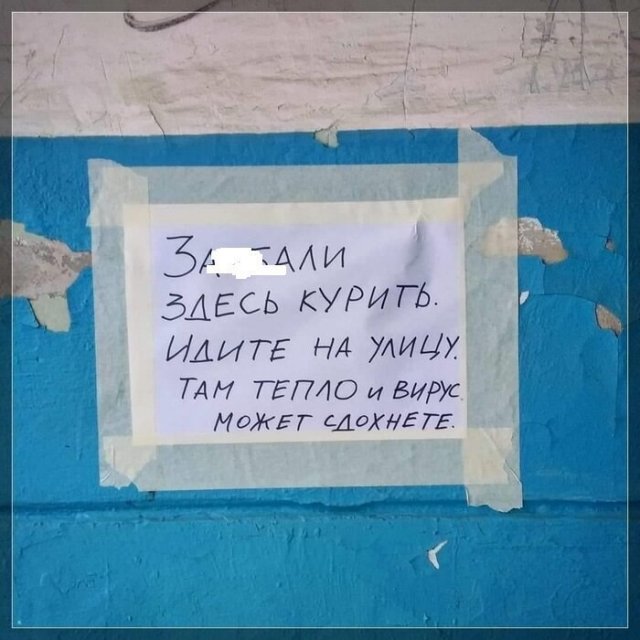 Черный юмор: шутки про протесты в США и коронавирус (14 фото)