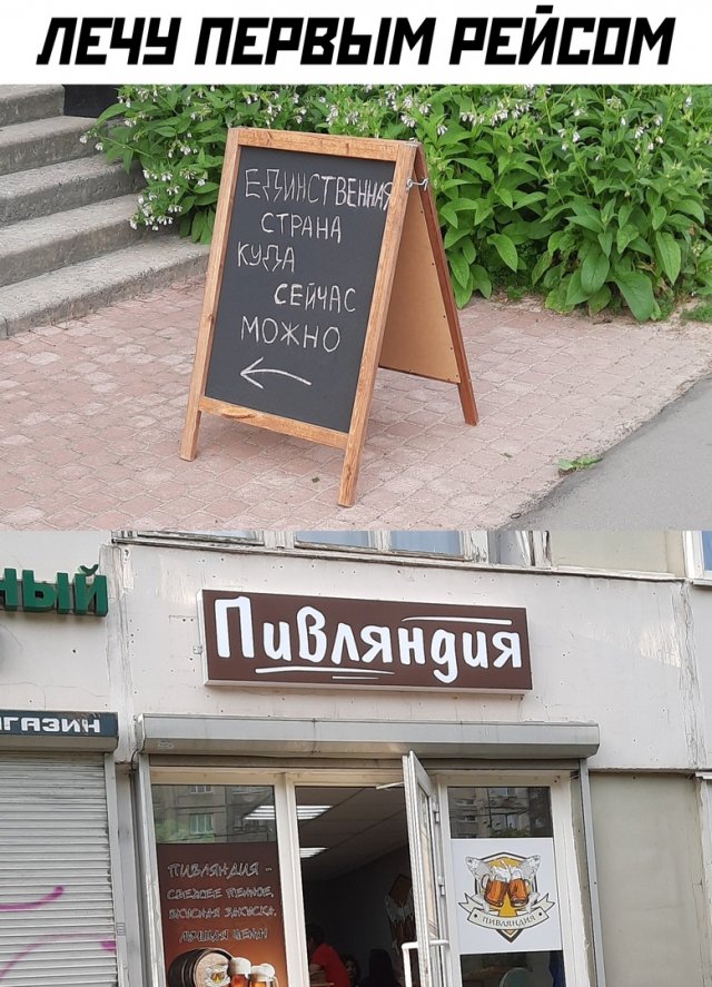 Коронавирус, поправки и ЕГЭ: о чем шутят в Сети (15 фото)