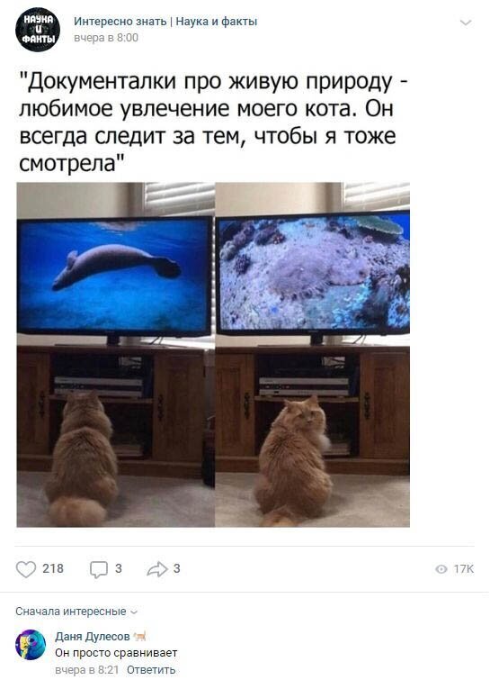 Комментарии к постам в разных группах (58 фото)