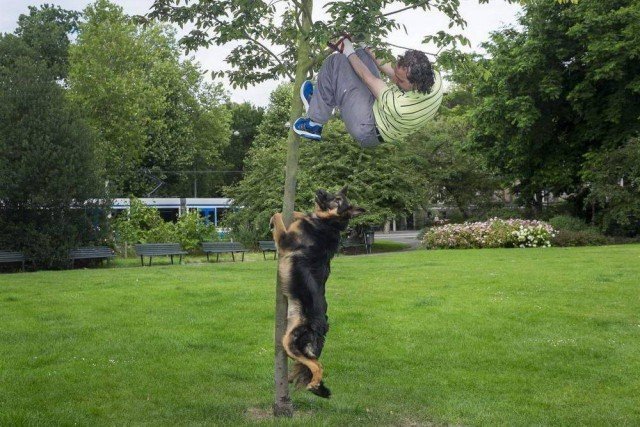 Жизненные неприятности, которые могут приключиться с каждым (20 фото)