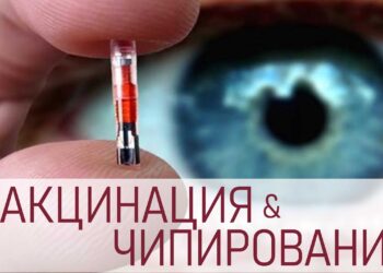 Вакцинация и чипизация