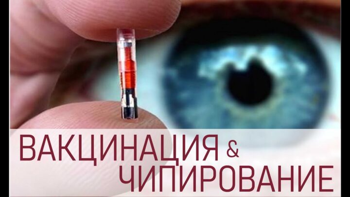 Вакцинация и чипизация